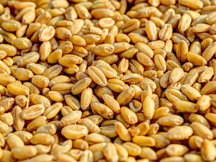 Jahresschätzung der Ernährungsindustrie 2021: Wirtschaftliche Erholung bleibt aus