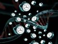Neue Verbindung zwischen Genen und längerer menschlicher Lebensspanne