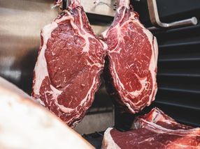 Meat, MS and the microbiome