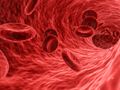 Blutproteine könnten der Schlüssel zu einem langen und gesunden Leben sein