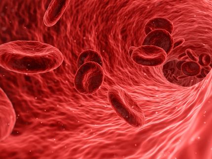 Blood proteins could be the key to a long and healthy life