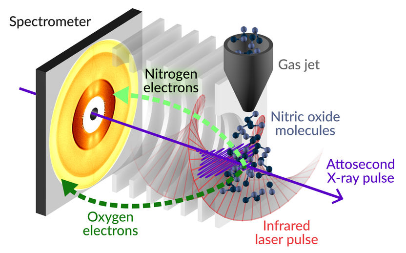 Greg Stewart/SLAC National Accelerator Laboratory