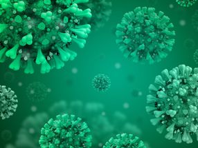 La memoria inmunológica proporciona protección a largo plazo contra el coronavirus