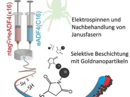 Nerven heilen auf Spinnenseide