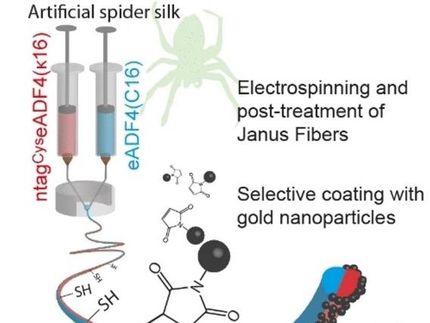 Healing Nerves on Spider Silk