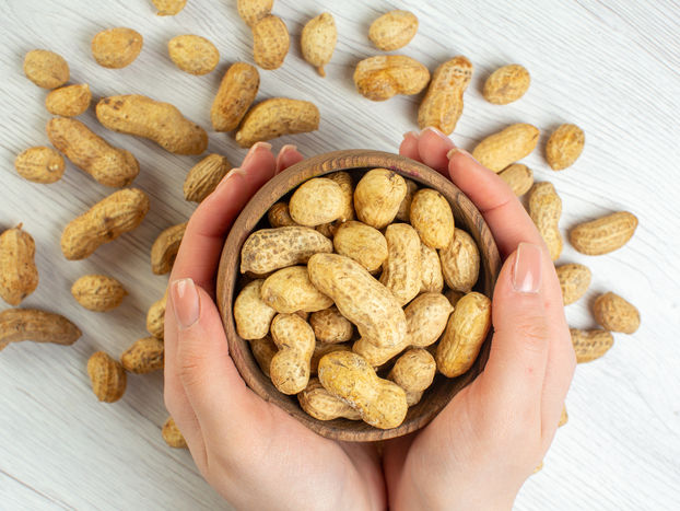 Researchers discover two treatments that induce peanut allergy remission in children