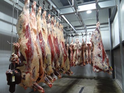 Meat production declines again in Germany