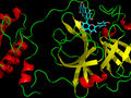 Natural compounds that inhibit the main protease of the SARS-CoV-2 virus discovered by virtual screening