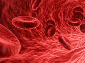 Blutplättchen als Lieferant therapeutischer Proteine im Körper