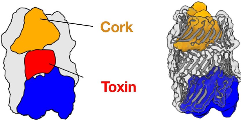 MPI of Molecular Physiology