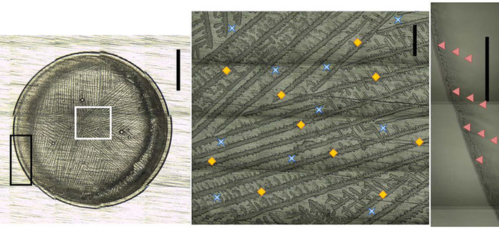 Ember et al., doi 10.1117/1.JBO.27.2.025002