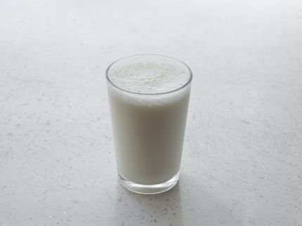 Wilk erhält U.S.-Patent für zellbasierte Milchproduktionsmethoden und -systeme