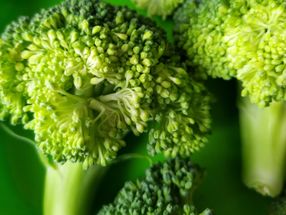 Der Nährwert von Brokkoli und Grünkohl ist je nach Wachstumsbedingungen unterschiedlich hoch