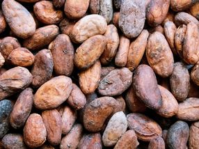 Intensiveres Rösten der Kakaobohnen mindert die Bitterkeit und steigert den Schokoladengenuss