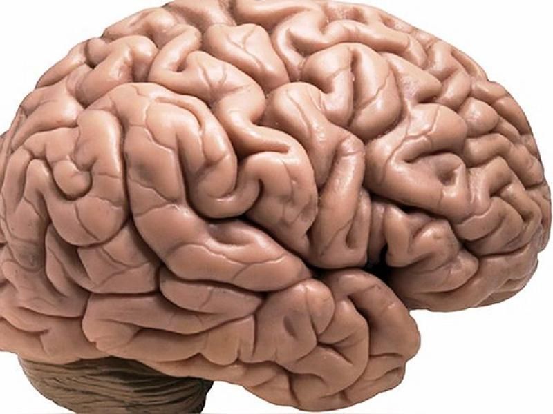 Descubren una proteína que protege al cerebro de la enfermedad de Alzheimer - Se trata de la proteína LRP3, que disminuye los niveles de dos proteínas implicadas en la formación de placas en el cerebro de las personas con alzhéimer