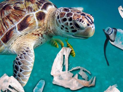 Kommt das Ende der Plastikflut?
