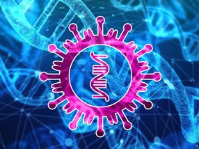Las enzimas dirigidas destruyen el ARN del virus