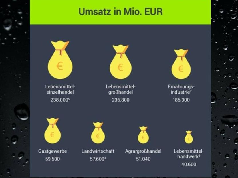 Lebensmittelverband Deutschland e. V.