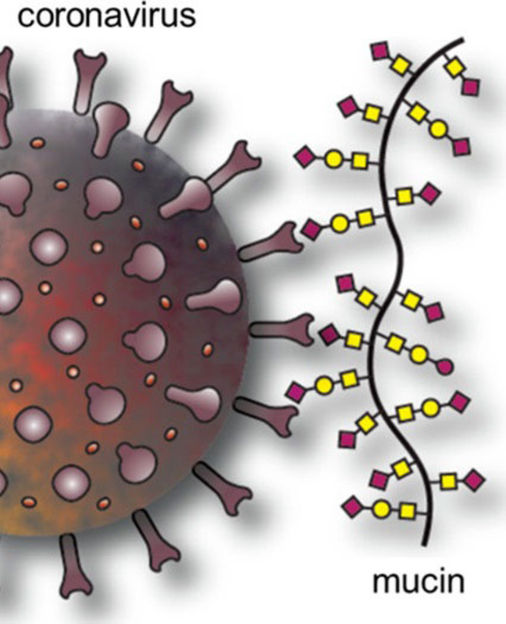 Adapted from ACS Central Science 2022, DOI: 10.1021/ acscentsci.1c01369