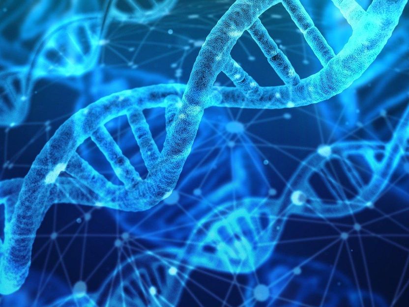 New tool reveals function of enigmatic gene sequences - Study may eventually contribute to the development of new, targeted drugs