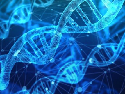 Una nueva herramienta revela la función de secuencias genéticas enigmáticas
