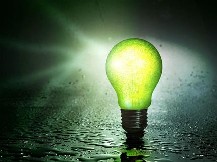 Gründer mit nachhaltigen, digitalen Ideen gesucht