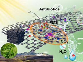 Upcycling von Biomasseabfällen zu Fe-Einzelatomkatalysatoren für die Schadstoffbekämpfung
