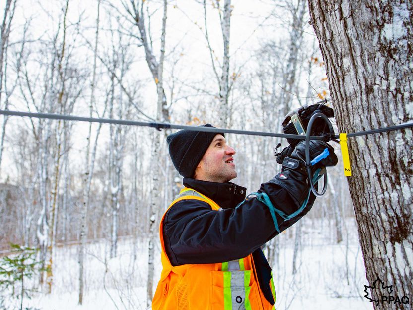 Québec Maple Syrup Producers (QMSP) | Dion