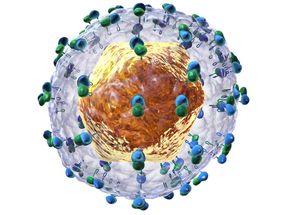 Novel hepatitis C virus inhibitory molecules by in vitro evolution