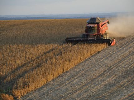 WWF-Report: Sojaproduktion für Europas Futtertröge befeuert Naturzerstörung in Südamerika