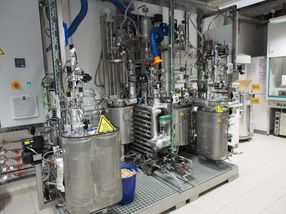 Producing petroleum substitutes from waste products