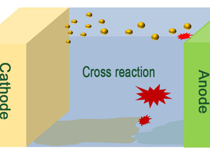 Revealing thermal runaway routes in lithium-sulfur batteries