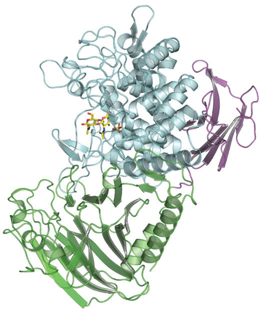 Adapted from ACS Central Science 2022, DOI: 10.1021/acscentsci.1c01570