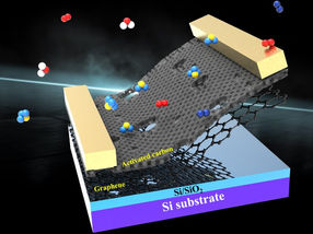 Carbon molecular sieve integrated graphene sensor