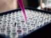Animal-free safety testing of novel medicines, chemicals, and consumer products
