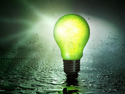 Innovationsfähigkeit grüner Startups treibt Transformation der deutschen Wirtschaft