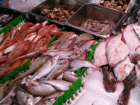 Ciguatoxine in Seefisch: Ausgeklügelte Teststrategie ermöglicht die Aufklärung von Fischvergiftungen