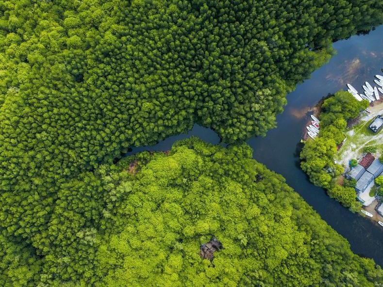 Gesund essen schützt die Biodiversität