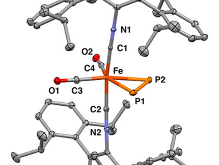X-ray crystal structure of the mononuclear iron η2-diphosphorus complex