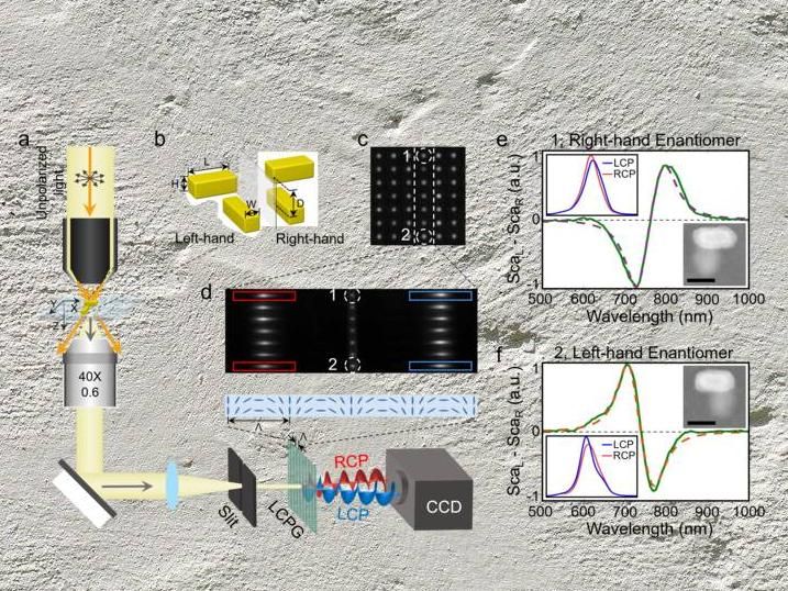 Snapshot measurement of single nanostructure’s circular dichroism