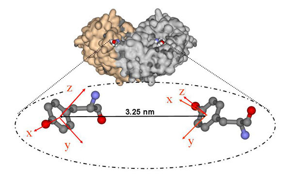 Max-Planck-Institut für biophysikalische Chemie