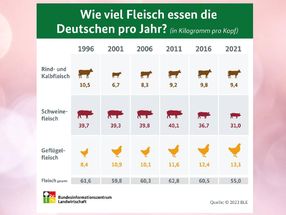 Versorgungsbilanz Fleisch 2021: Pro-Kopf-Verzehr sinkt auf 55 Kilogramm