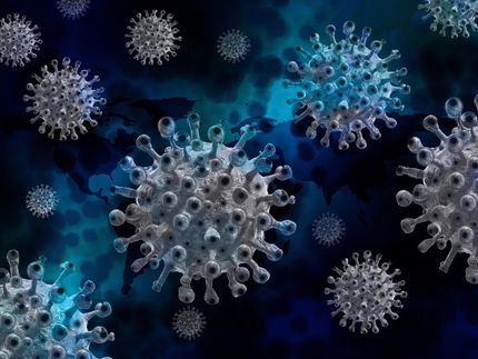 The immune system as a whole restricts the evolution of viruses