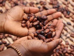 Der Kakaopreis steigt – und jetzt ist alles gut?