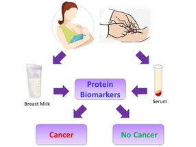 Scientists identify cancer biomarkers in breast milk