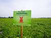 Das Vegane Mühlen Hack der Rügenwalder Mühle jetzt mit 100% Soja aus Deutschland