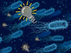 Bacteria generate electricity from methane