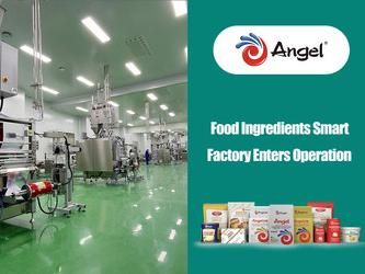 La nouvelle usine intelligente d'ingrédient alimentaire d'Angel Yeast est opérationnelle