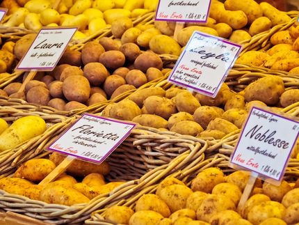 Erzeugerpreise für landwirtschaftliche Produkte in Deutschland steigen weiter