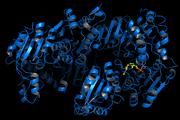 Enzymen bei der Arbeit zugeschaut - Göttinger Forscher entschlüsseln Stoffwechselreaktionen von Vitaminen